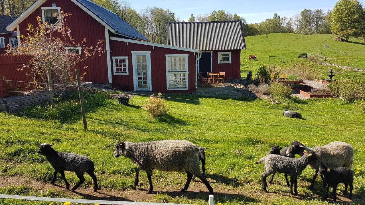 Sjoebacken Gard Bed & Breakfast Lerdala Eksteriør bilde